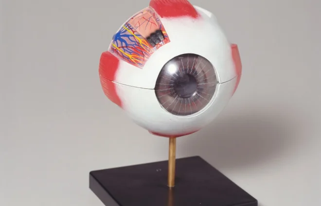 SE HA PREGINTADO QUE ES LA PRESION OCULAR SE HA PREGINTADO QUE ES LA PRESION OCULAR